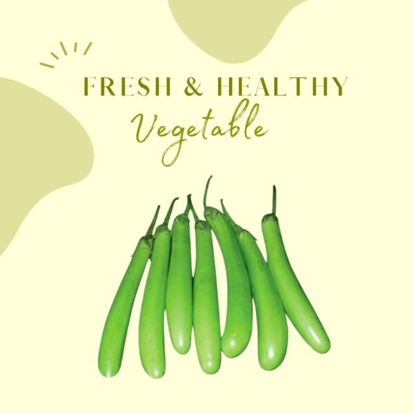 Brinjal Green Long