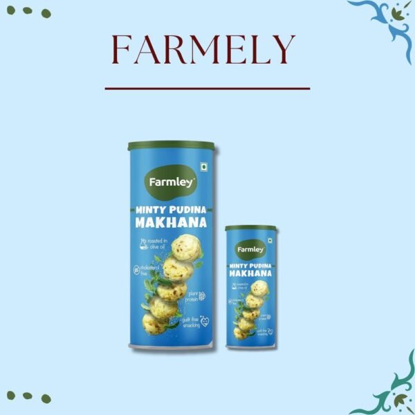 ⁠Minty Pudina Makhana (55gm)