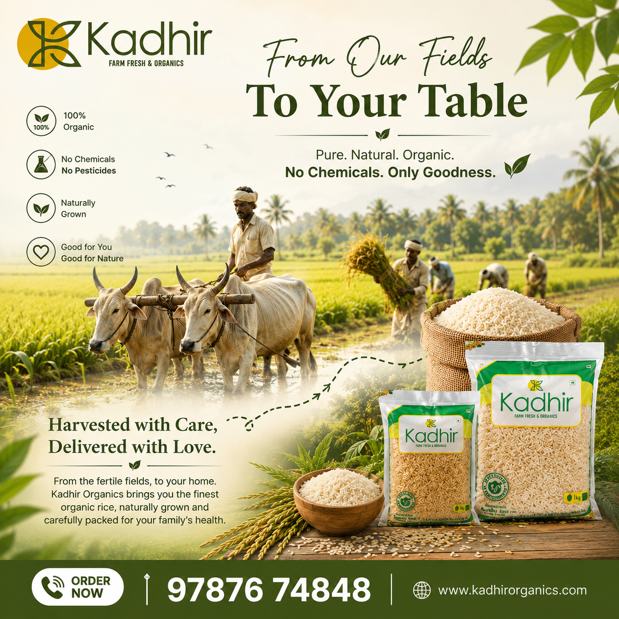 Organic Rice Store In Adyar