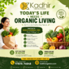 Organic Store In Adyar