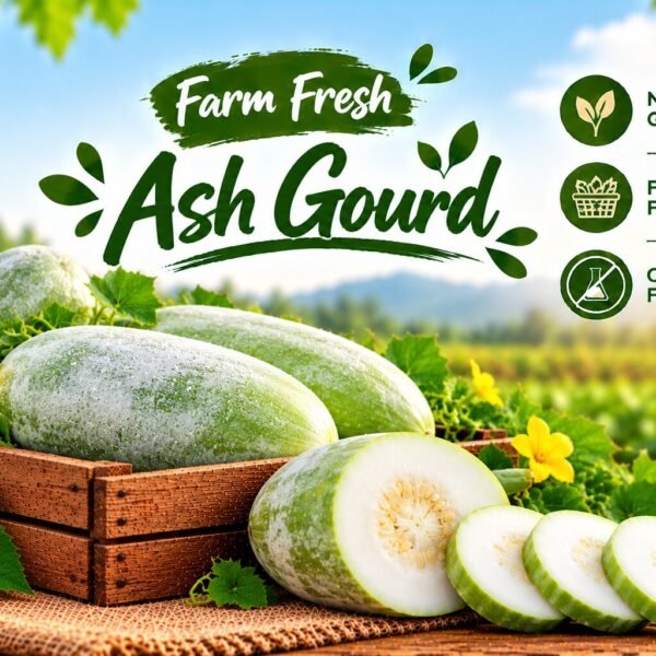 Ash Gourd - 1KG