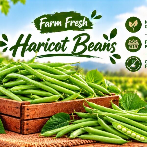 Haricot Beans 1KG